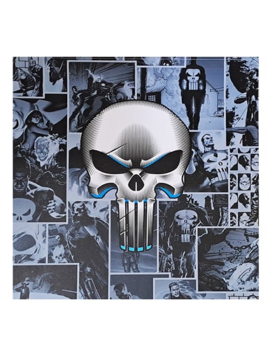 برچسب کنسول PS4 (GO) طرح punisher