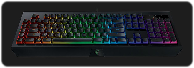 خرید کیبورد ریزر BlackWidow V2 Chroma Yellow Switch - Image 8