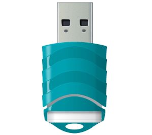 LEXAR FLASH MEMORY V30 16GB
